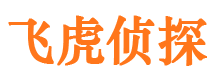 泸县市侦探公司